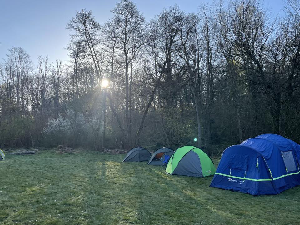 A calm campsite in the morning with the sun rising through the trees
