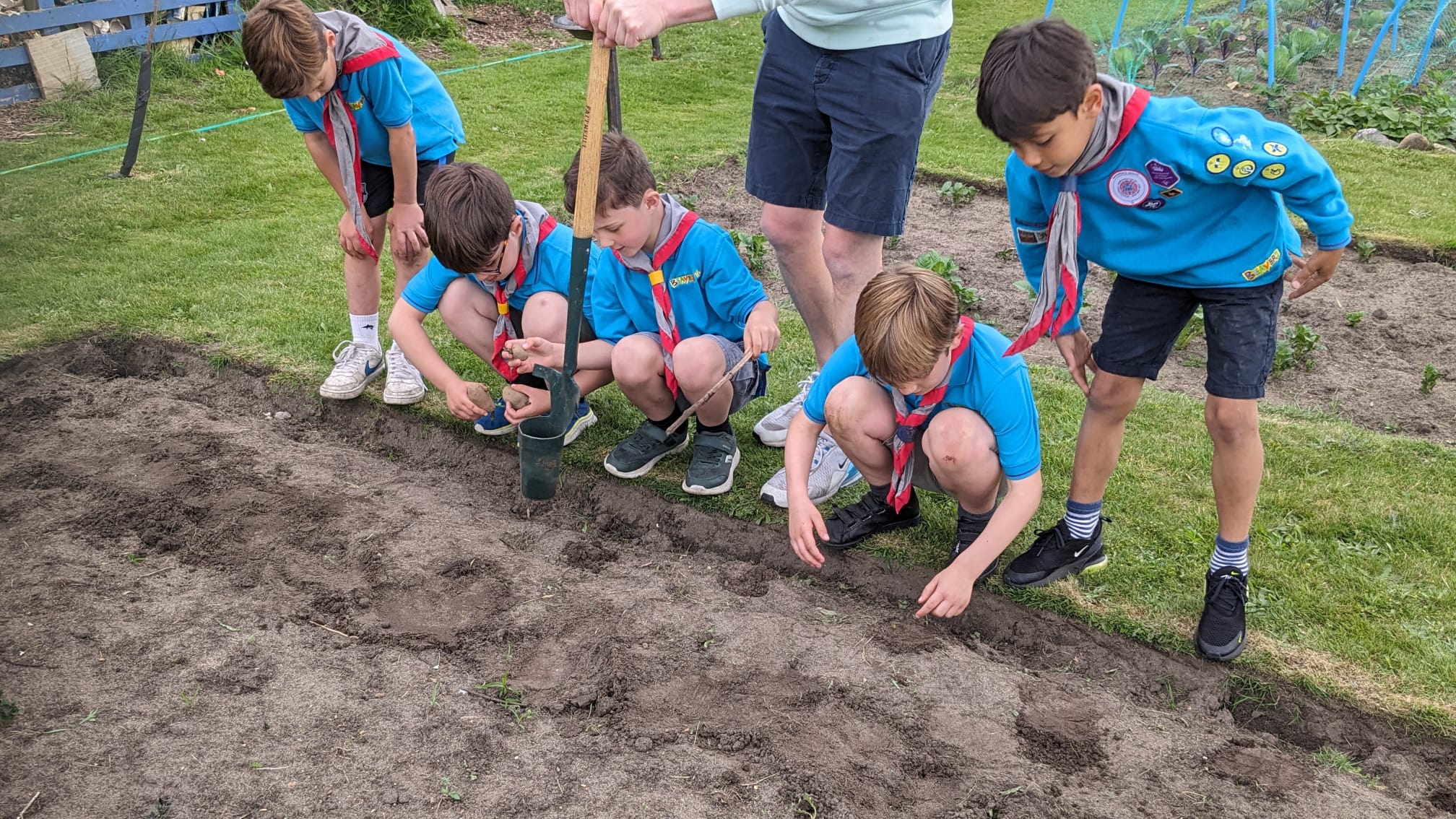 Beavers at the Eco Hub