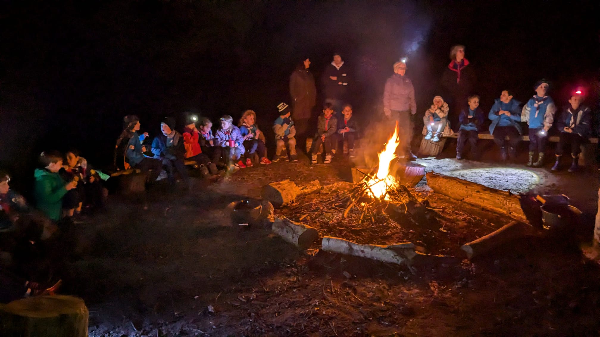 Beavers around a campfire