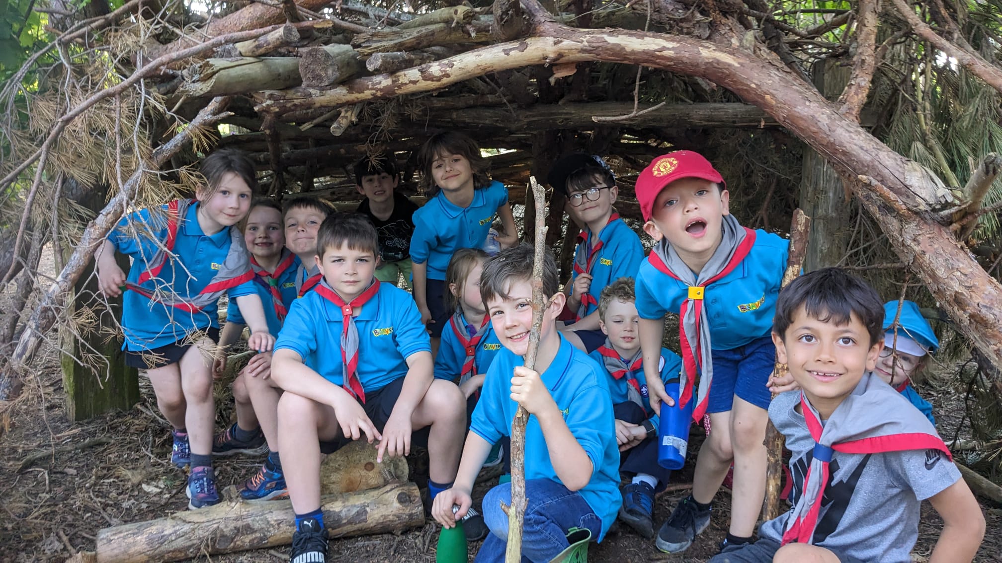 Beavers in a den