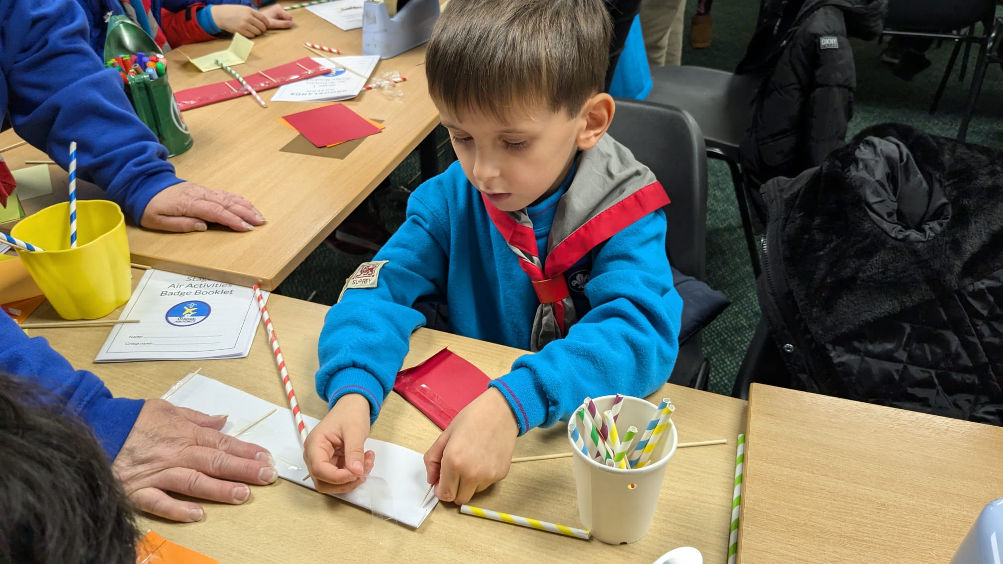 Beaver making a plane