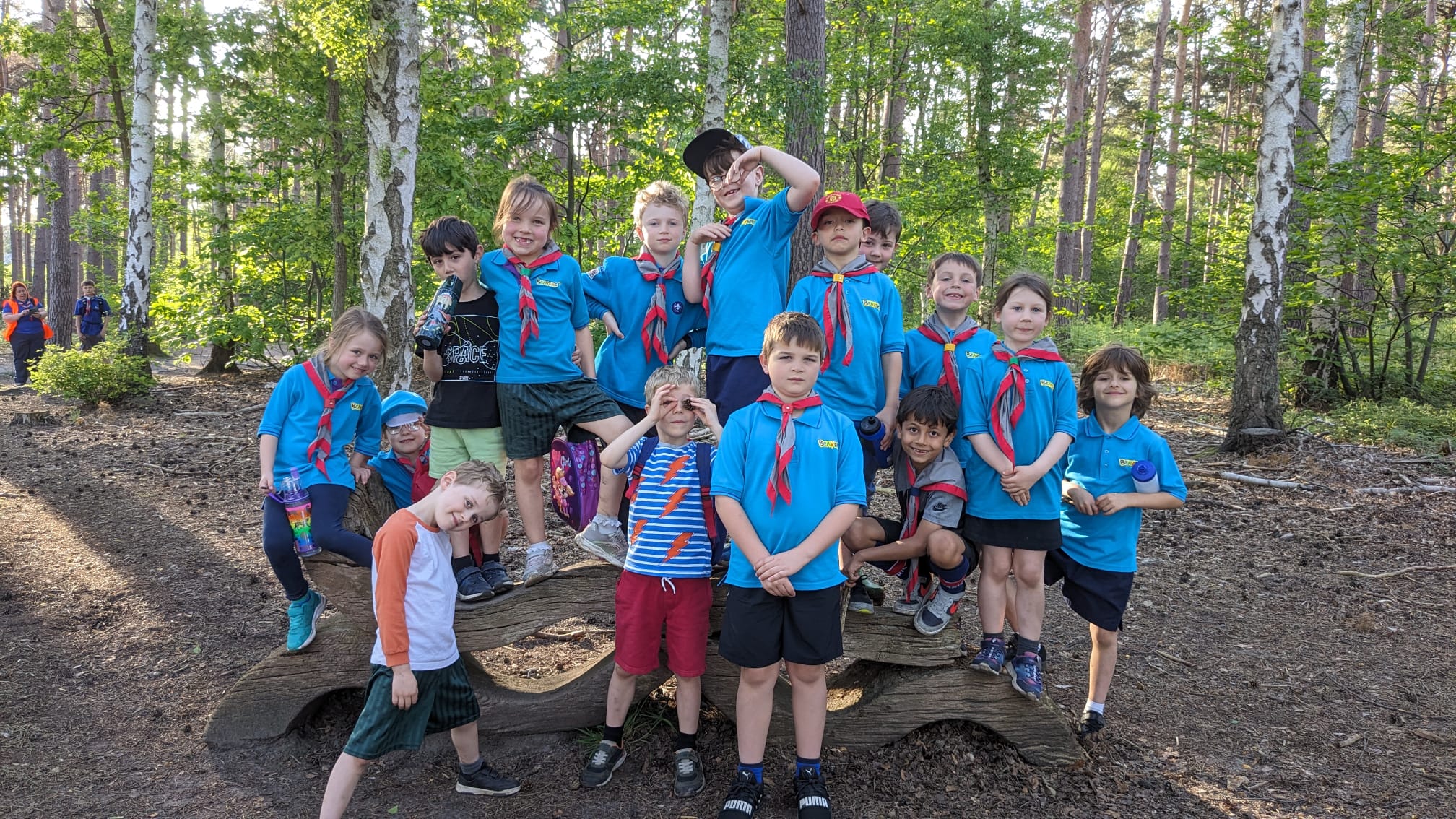 Beavers on a nature walk